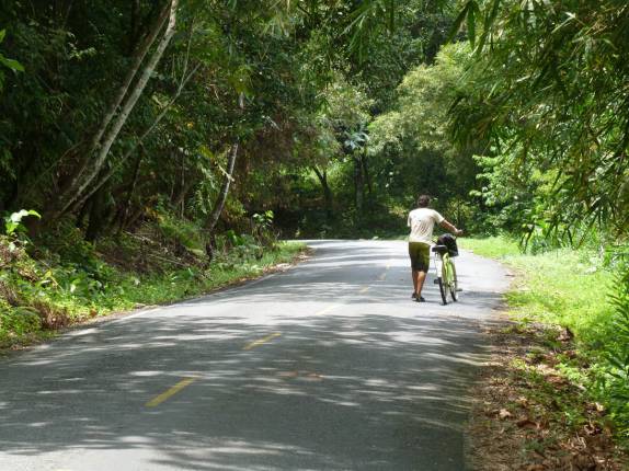 Vencido pela subida e pela bicicleta defeituosa, no caminho para Boca del Drago, praia de Bocas del Toro, no litoral norte do Panamá, lado do Atlântico
